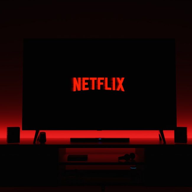 Netfliz logo